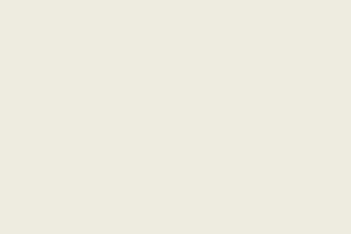 Grey white STB-492