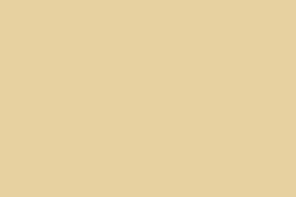 Ivory STB-485