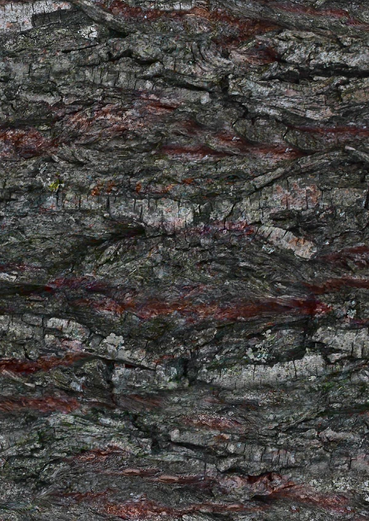 P966 Bark